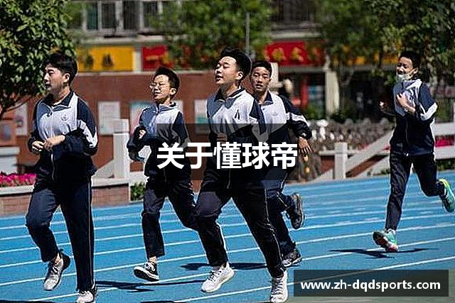 关于懂球帝